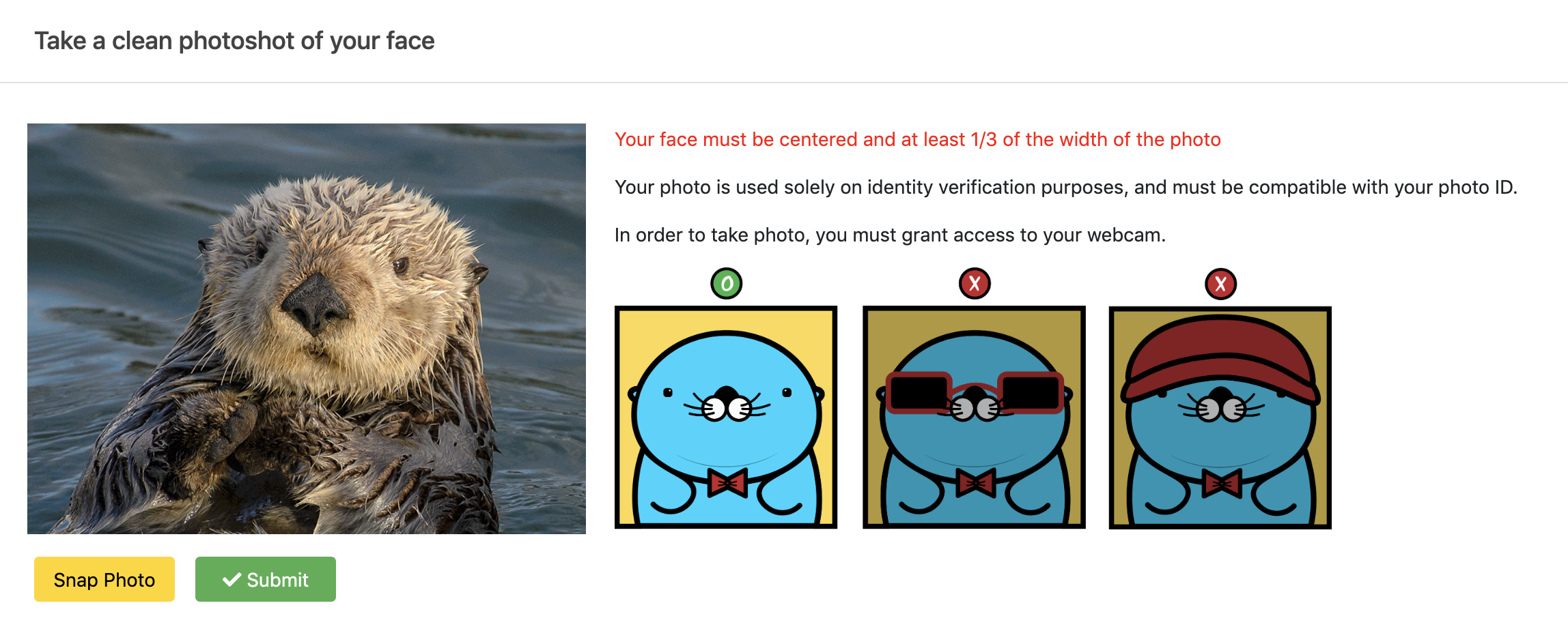 desktop version of photos of Richie that instructs how to take a photo for a facial verification at Option Pool