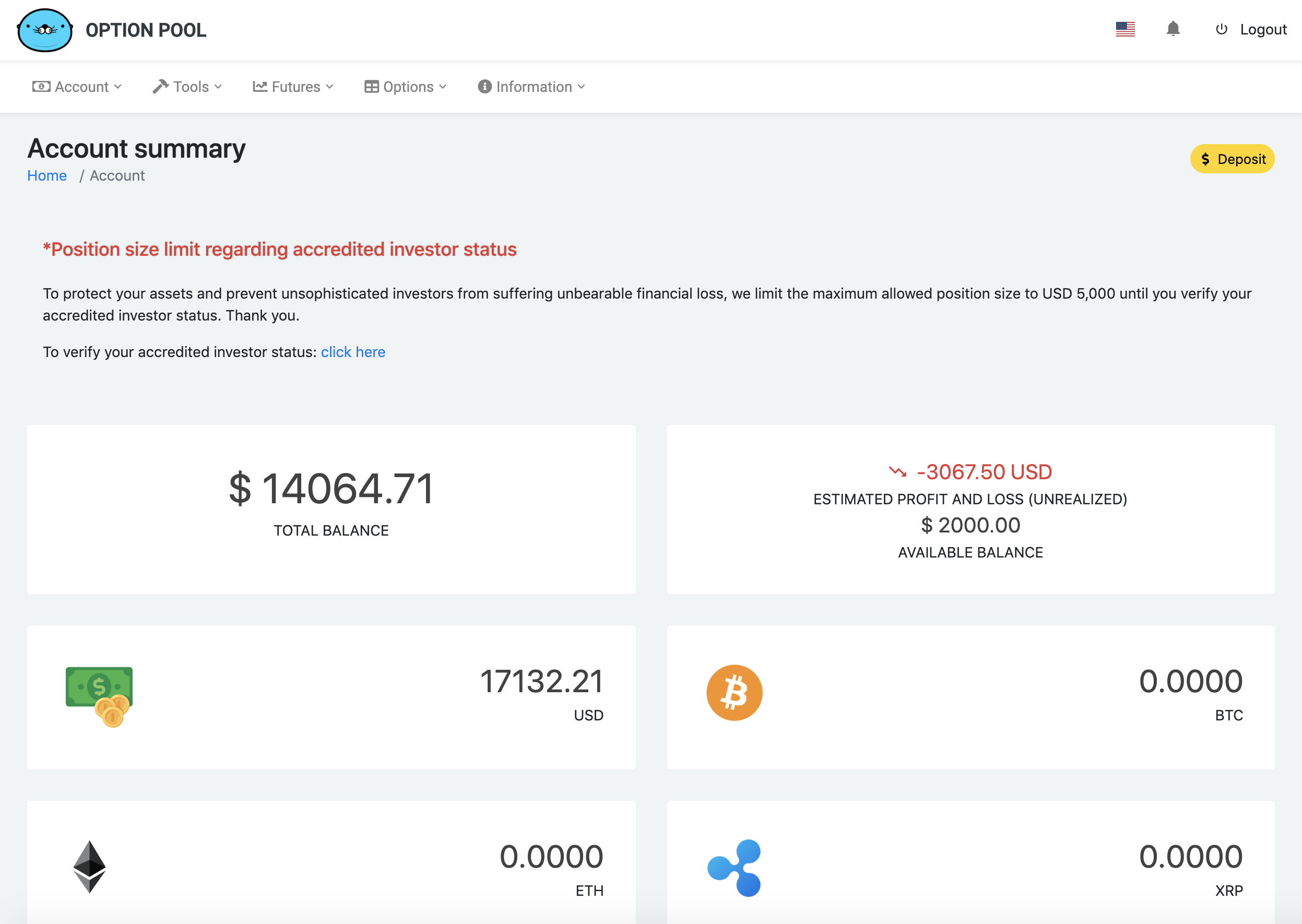 account summary screen of Option Pool in a desktop version