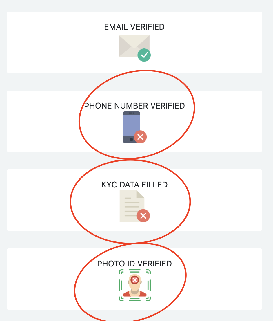 mobile version account summary screen at Option Pool, with encircled icons that indicates phone, data, face verification is required